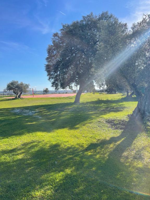Campings resort El Bosque de Ribera en Escalona, Castilla La Mancha
