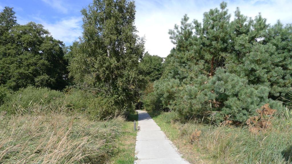 Príroda v okolí apartmánu
