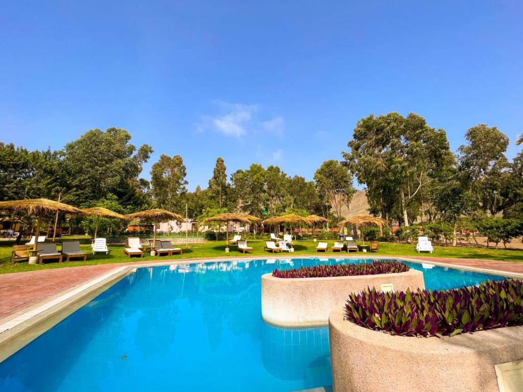 una piscina en un complejo con sillas y árboles en Bungalows de Casa Verde, en Mala