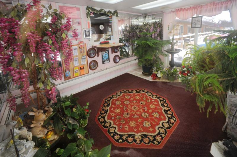 a room with a red rug on the floor with plants at A1 Economy Inn in Somerset