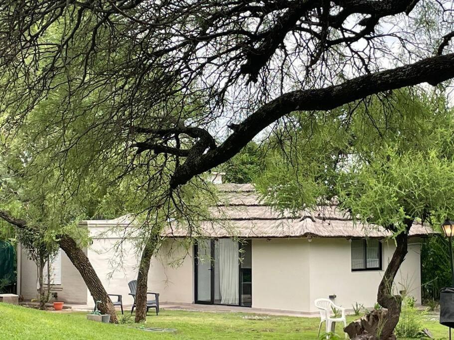 Una casa blanca con un árbol delante. en Descanso en Villa Allende, familia, golf, amigos en Villa Allende