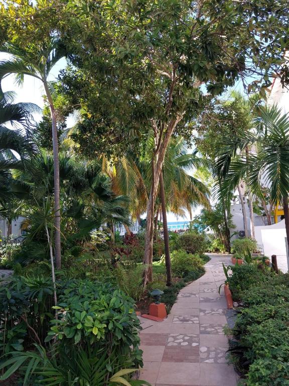 a walkway with trees and plants on a beach at Cozy Villa Escape in Runaway Bay