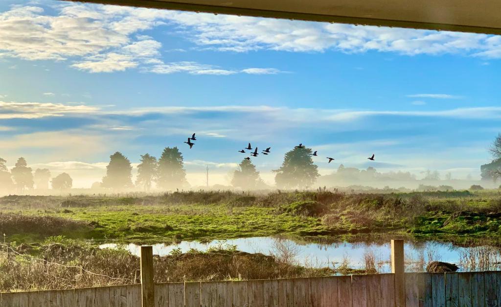 Radiata Homestay - Resim 9