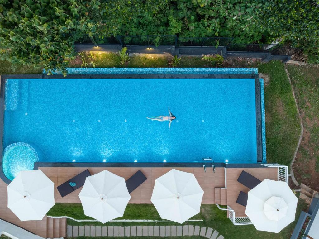 Bazén v ubytování Sprise Munnar Resort and Spa nebo v jeho okolí