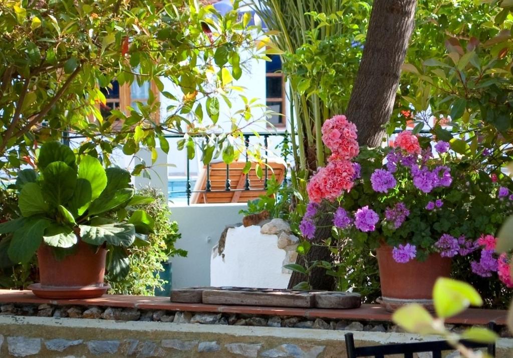 Zahrada ubytování Hotel Alcadima