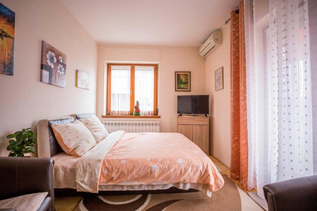 una camera con letto e finestra di Apartman Bojana a Vrnjačka Banja