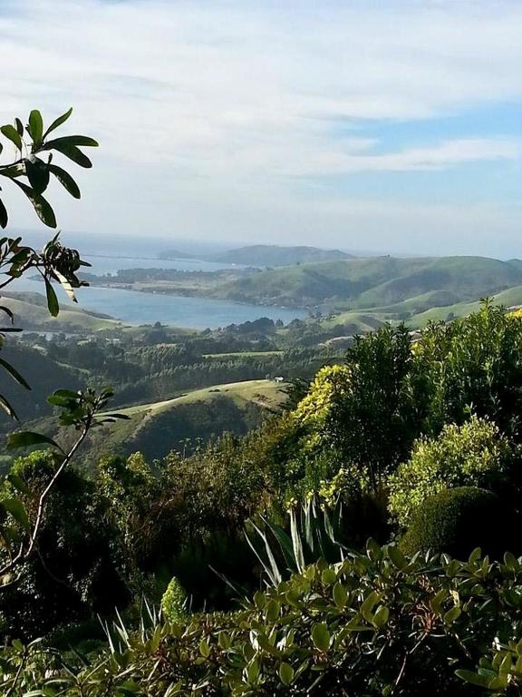 Otago Peninsula Paradise - Resim 22