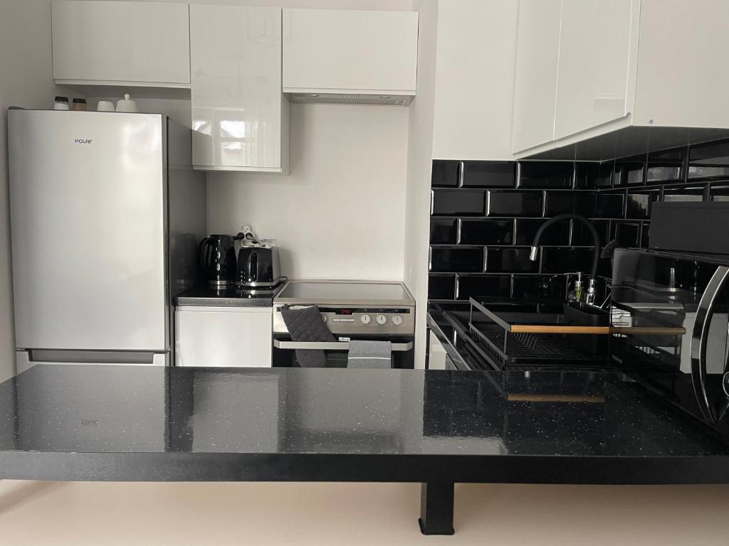 Kuchyňa alebo kuchynka v ubytovaní Modern Box Apartment