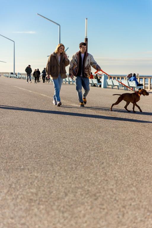 Ocean House Scheveningen - Resim 41