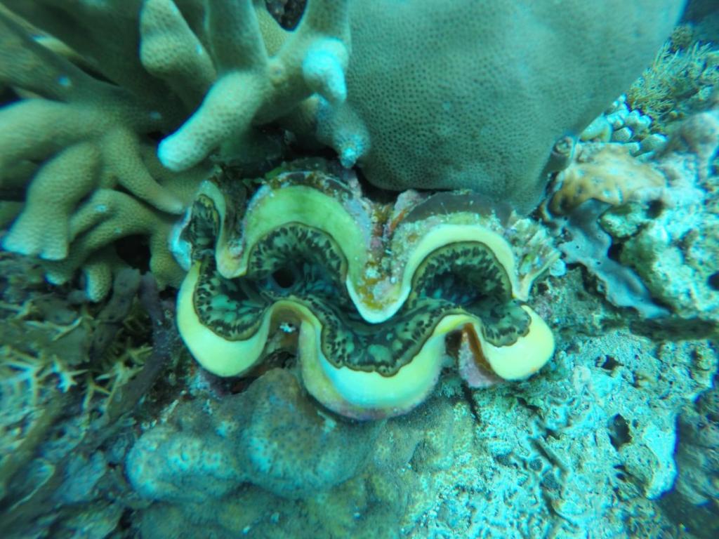 Fantastic Cottages - 15