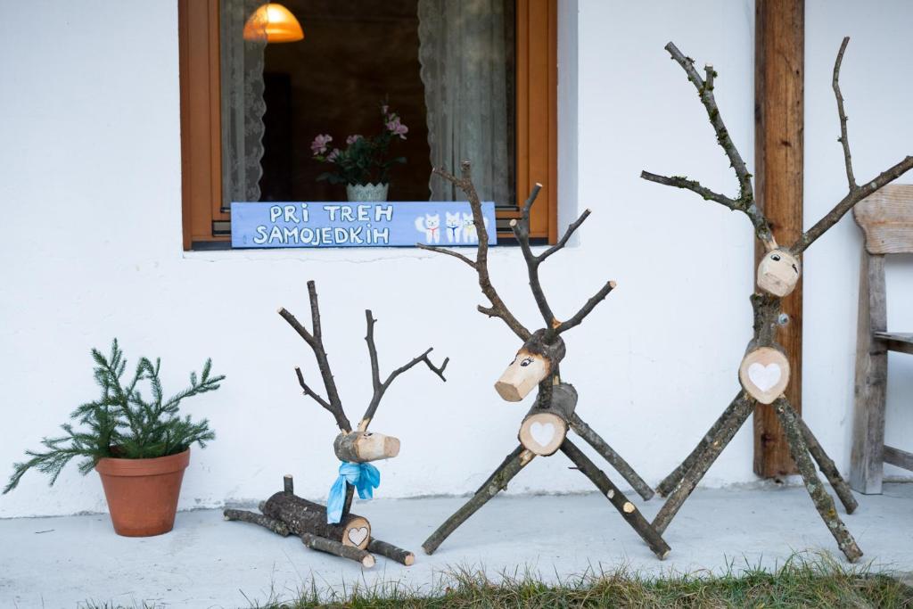 Zahrada ubytování Bovec Home At Three Samoyeds