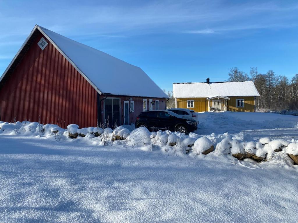 Skog Fegen nära Ullared v zimě