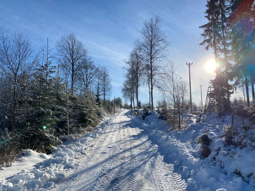 Skog Fegen nära Ullared v zimě