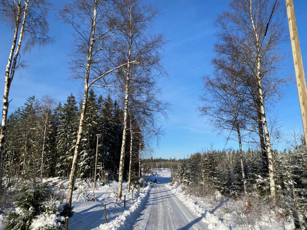 Skog Fegen nära Ullared v zimě