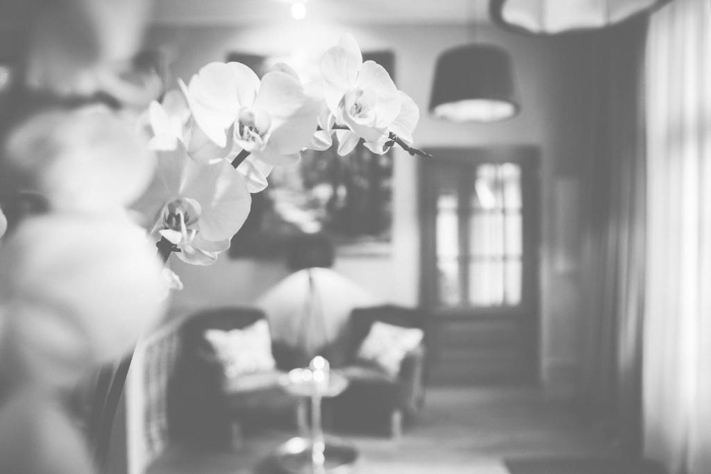 Posezení v ubytování Hotel Bellini