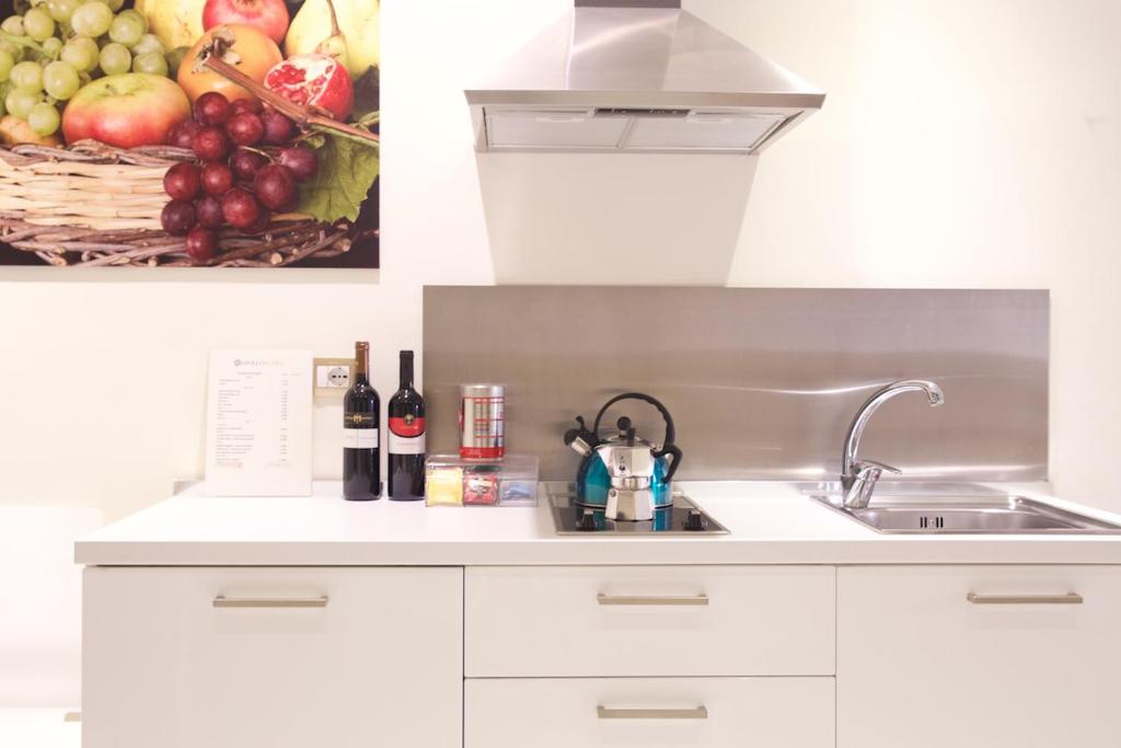 Kuchyň nebo kuchyňský kout v ubytování Apollo Suites