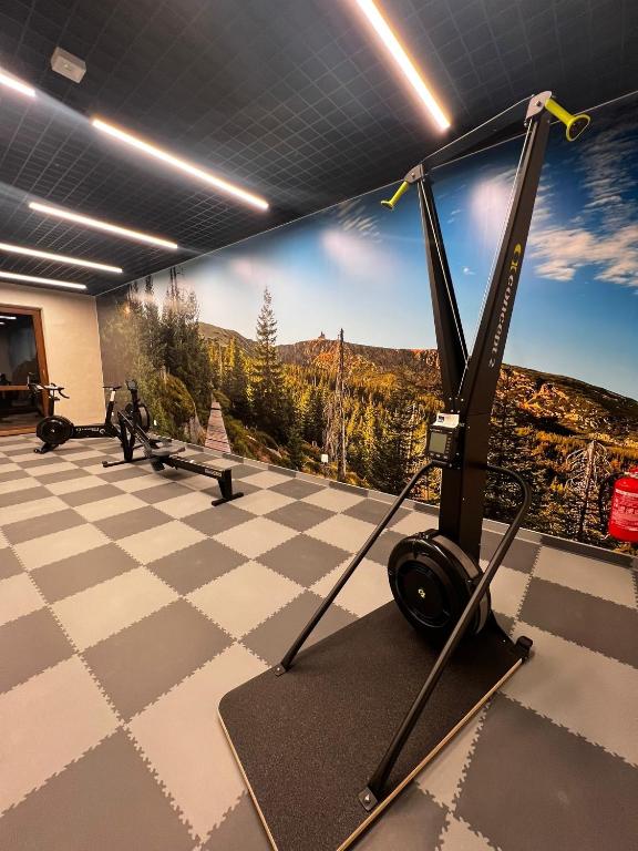 Posilňovňa alebo fitness centrum v ubytovaní Green Park Resort A3- Złoty Jeleń- z dostępem do basenu, sauny, jacuzzi, siłowni