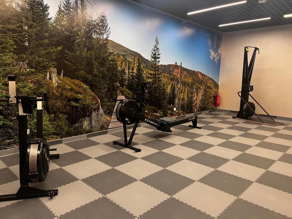 Posilňovňa alebo fitness centrum v ubytovaní Green Park Resort A3- Złoty Jeleń- z dostępem do basenu, sauny, jacuzzi, siłowni