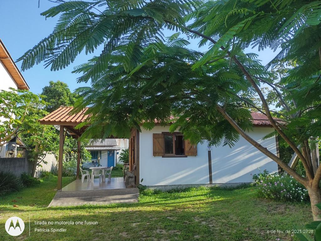 una pequeña casa blanca con una palmera en el patio en Bangalô Kontiki, en Florianópolis