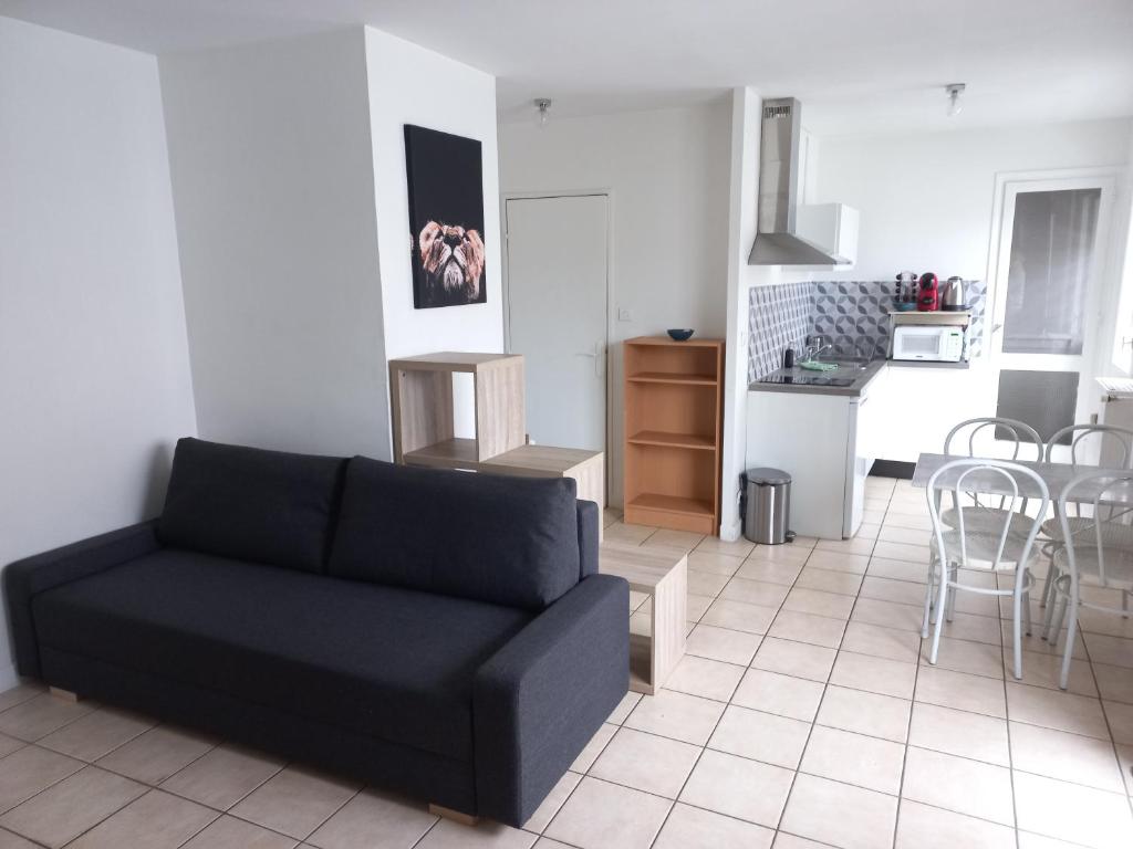 uma sala de estar com um sofá preto e uma cozinha em Studio Lumineux Saint-Étienne Bellevue em Saint Etienne