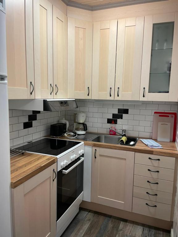 Kuchyň nebo kuchyňský kout v ubytování B & B Flattinge Fritidshus