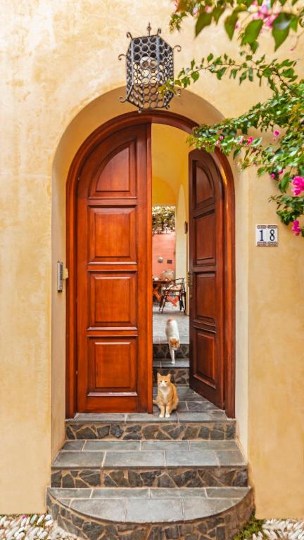 an orange cat sitting in front of a door at VILLA VICTORIA OLD TOWN in Rhodes Town
