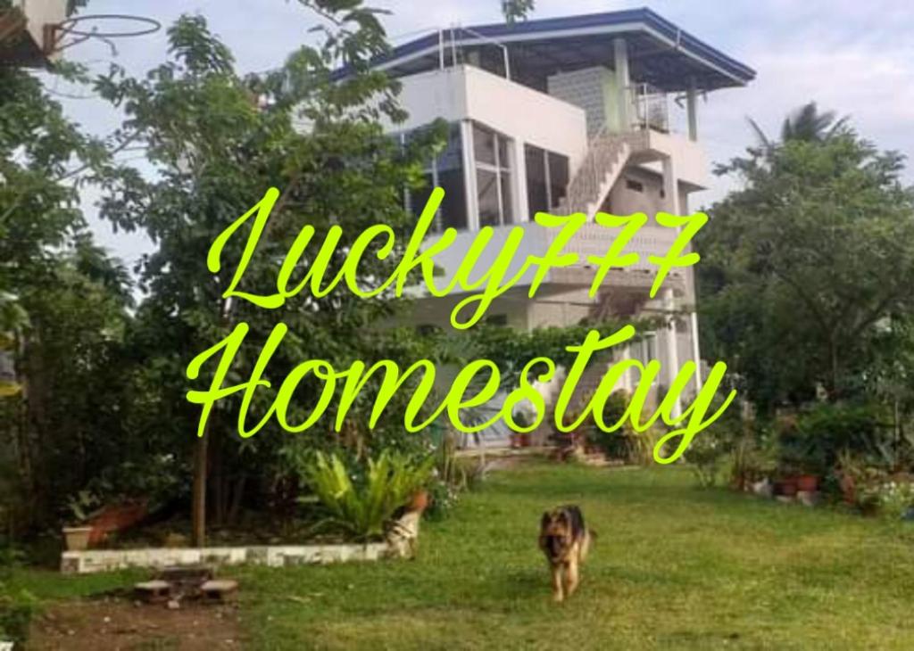 a dog walking in the grass in front of a house at Lucky777 Homestay in Mambajao