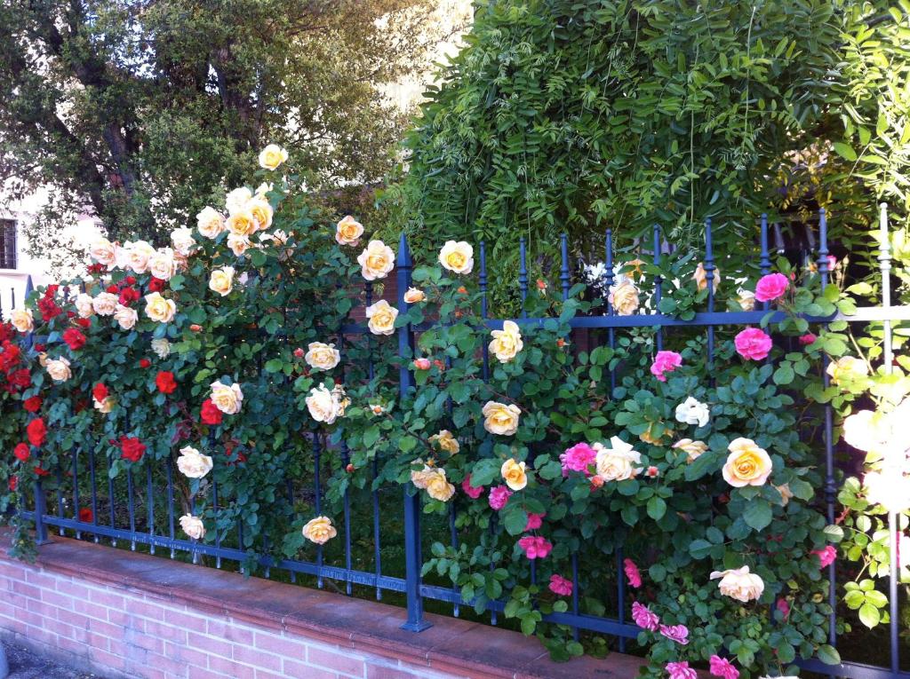 Derechos de imagen reservados por Booking.com