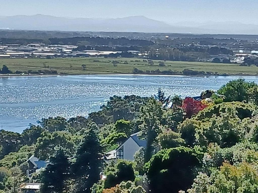 widok na rzekę z domami i drzewami w obiekcie Homestay,, millions dollars view w mieście Christchurch