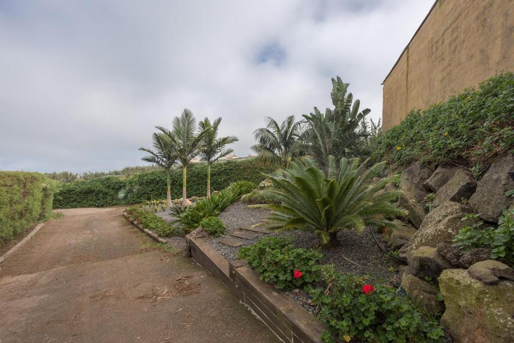 Vonkajšia záhrada v ubytovaní Los Paredones Farm - Private Pool - Garden