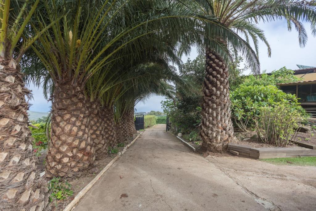 Vonkajšia záhrada v ubytovaní Los Paredones Farm - Private Pool - Garden