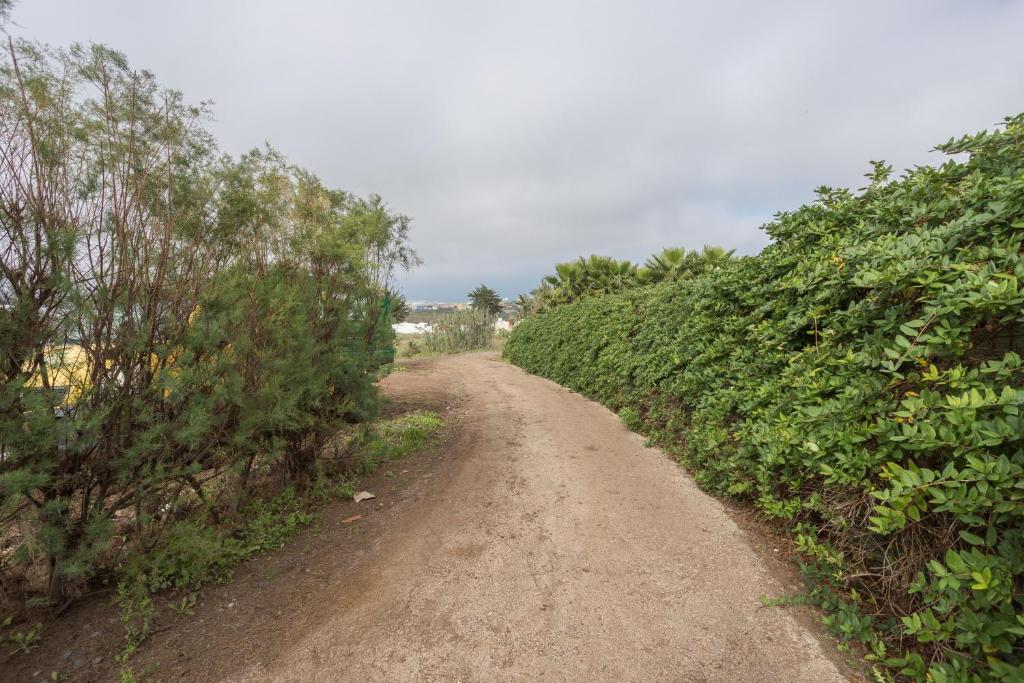 Fotografia z galérie ubytovania Los Paredones Farm - Private Pool - Garden v destinácii Santa Maria de Guia de Gran Canaria