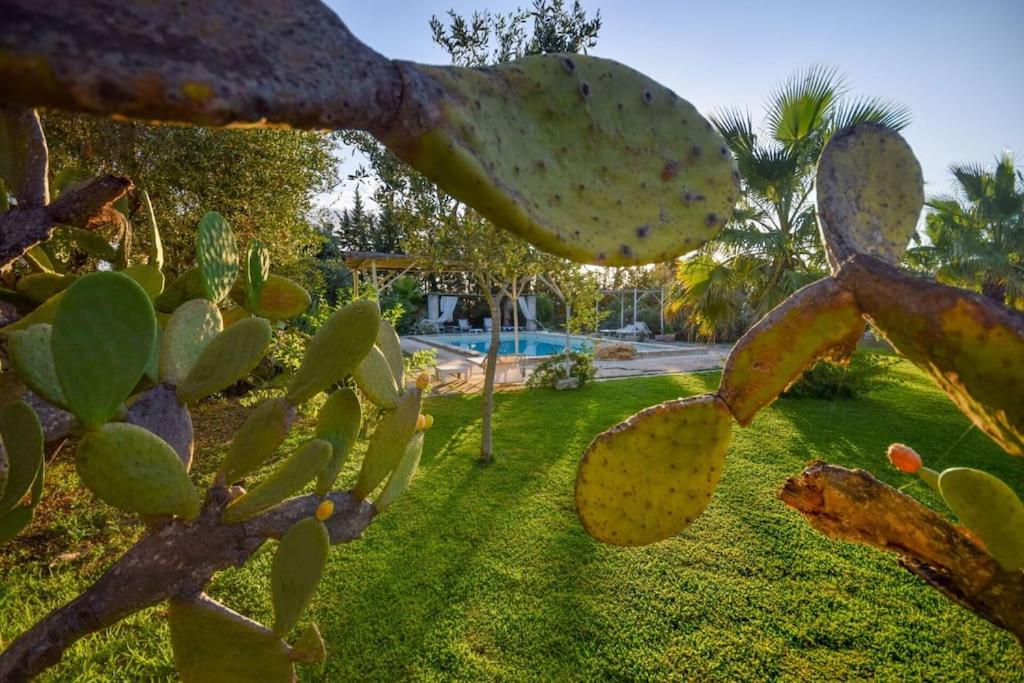 Kép Masseria Le Pezzate by Raro Villas szállásáról Magliében a galériában