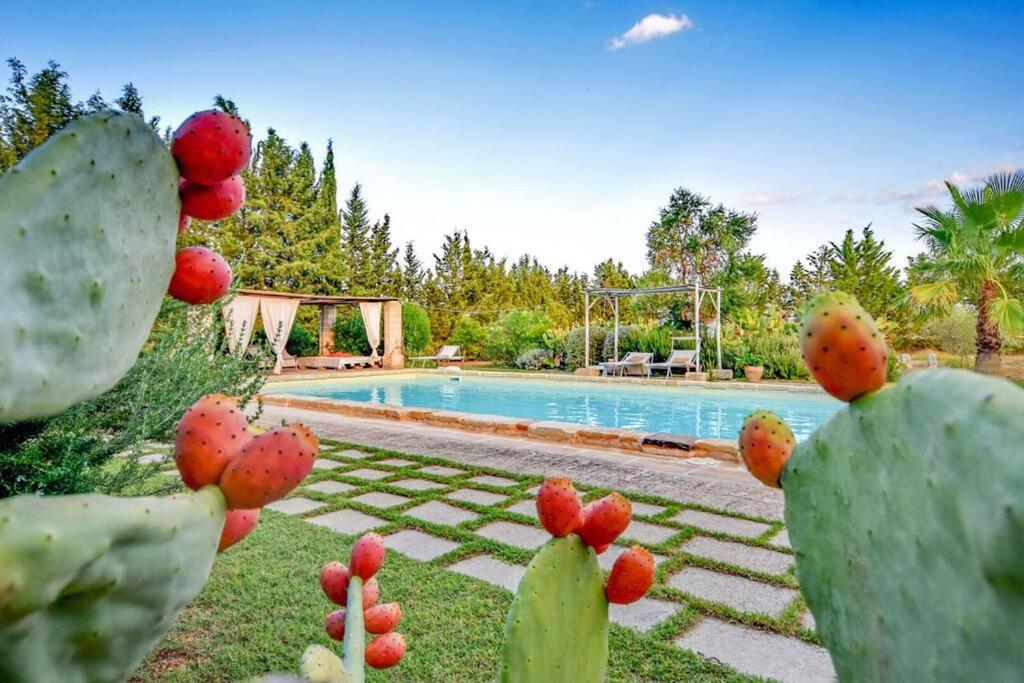 Kép Masseria Le Pezzate by Raro Villas szállásáról Magliében a galériában