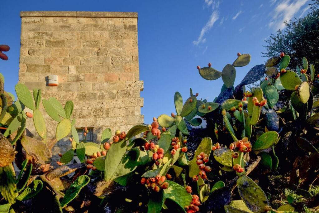 Kép Masseria Le Pezzate by Raro Villas szállásáról Magliében a galériában