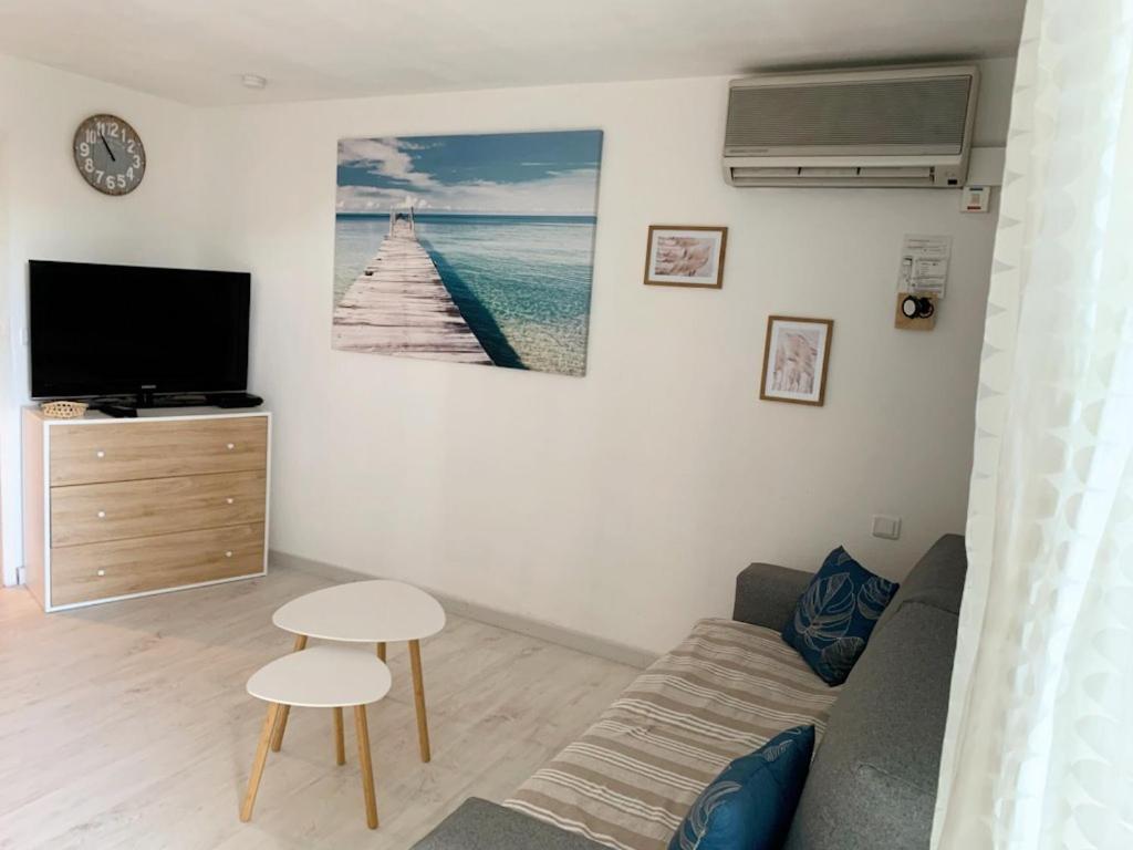 a living room with a couch and a tv at 100 m de la plage - Les Cigales de Mer - Studio Cabine - Parking in Le Grau-du-Roi