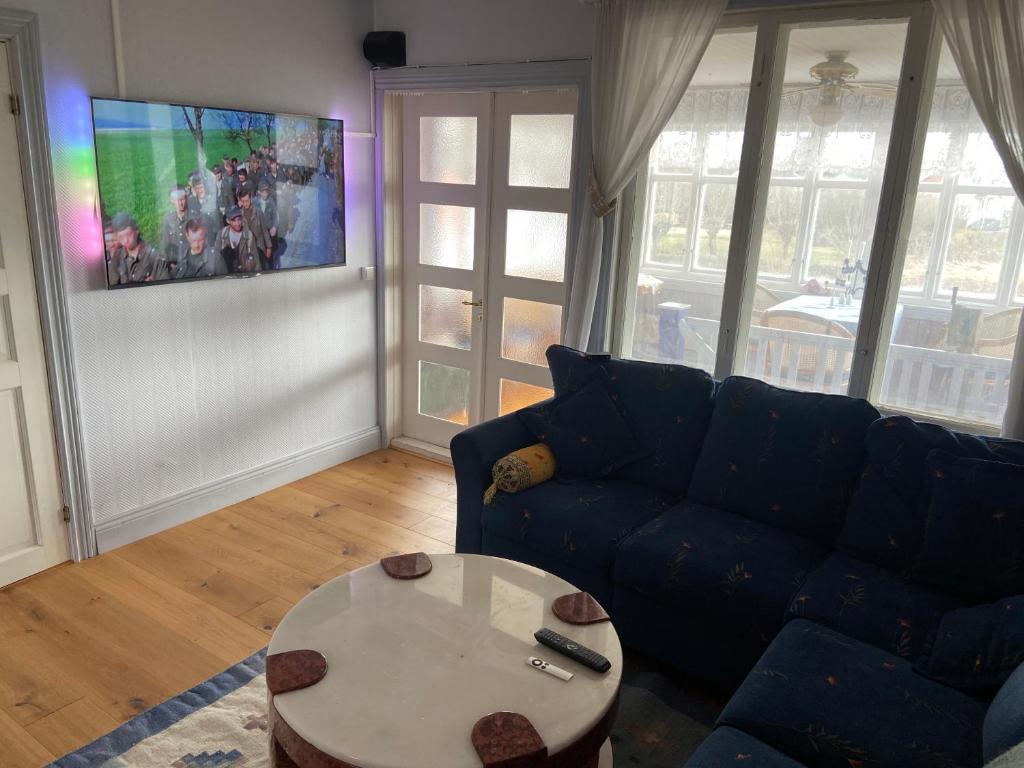 TV a/nebo společenská místnost v ubytování Grellsbo
