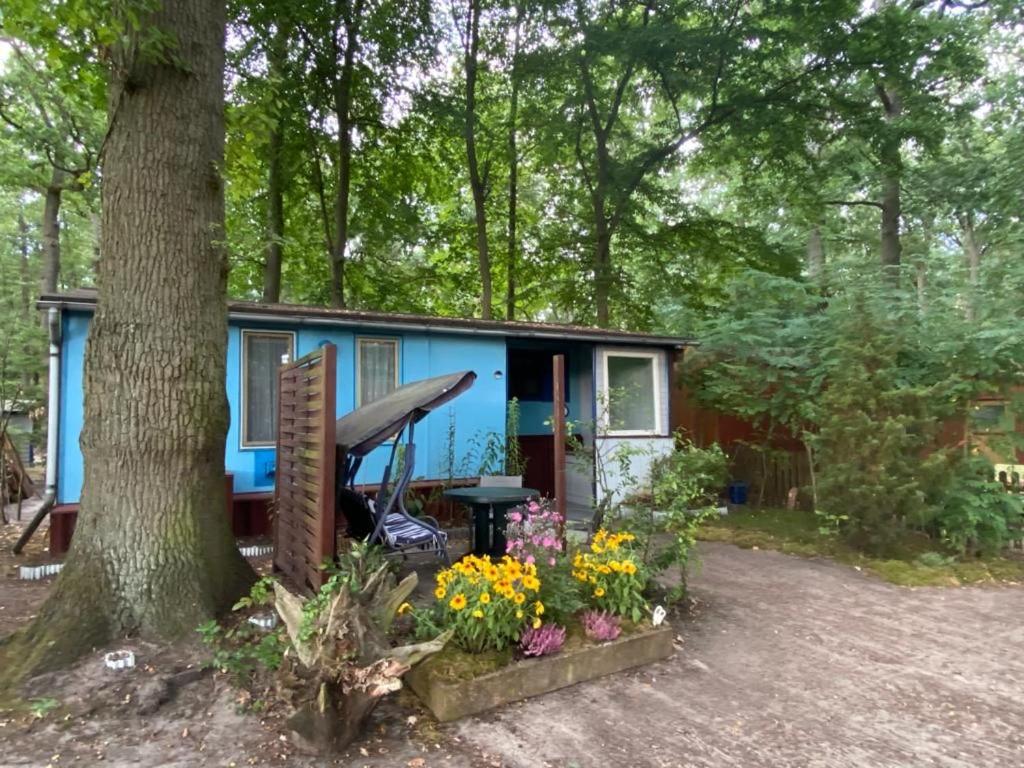a blue tiny house in the woods with flowers at Campingplatz am See - zwischen Berlin und Hamburg in Kamern