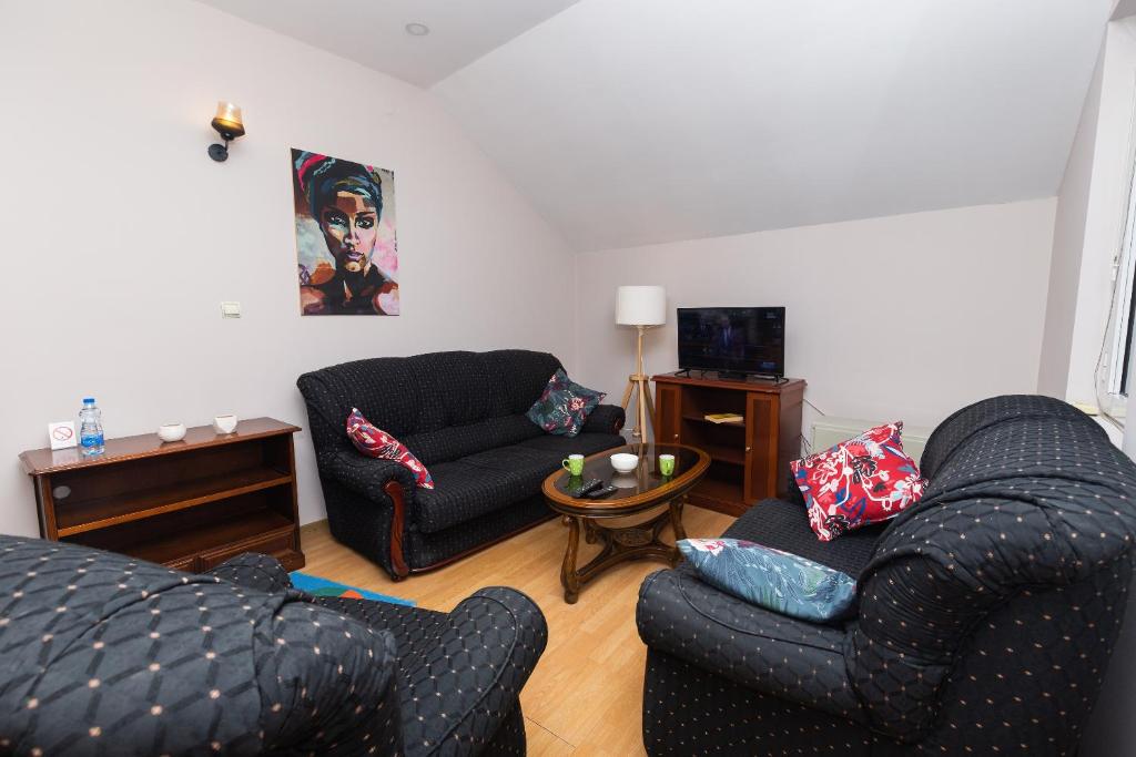 Posezení v ubytování Apartman Lipa Centar Užica