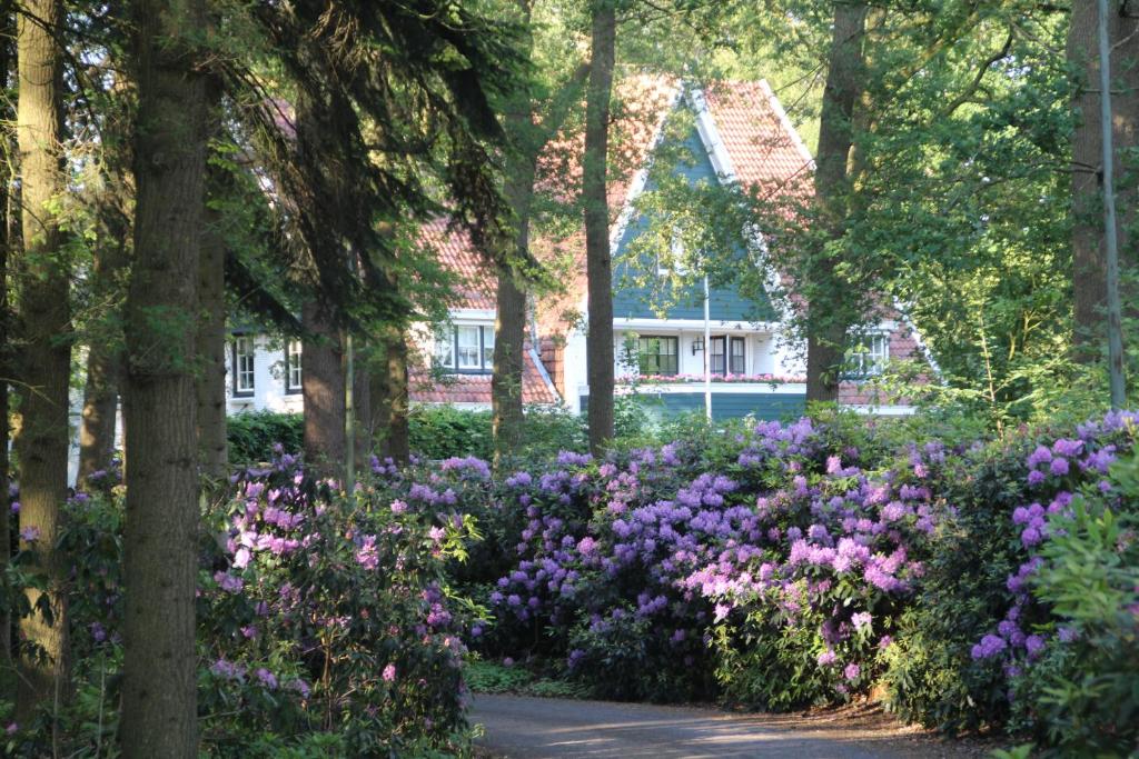a garden with purple flowers and trees at Hotel De Barones in Dalfsen