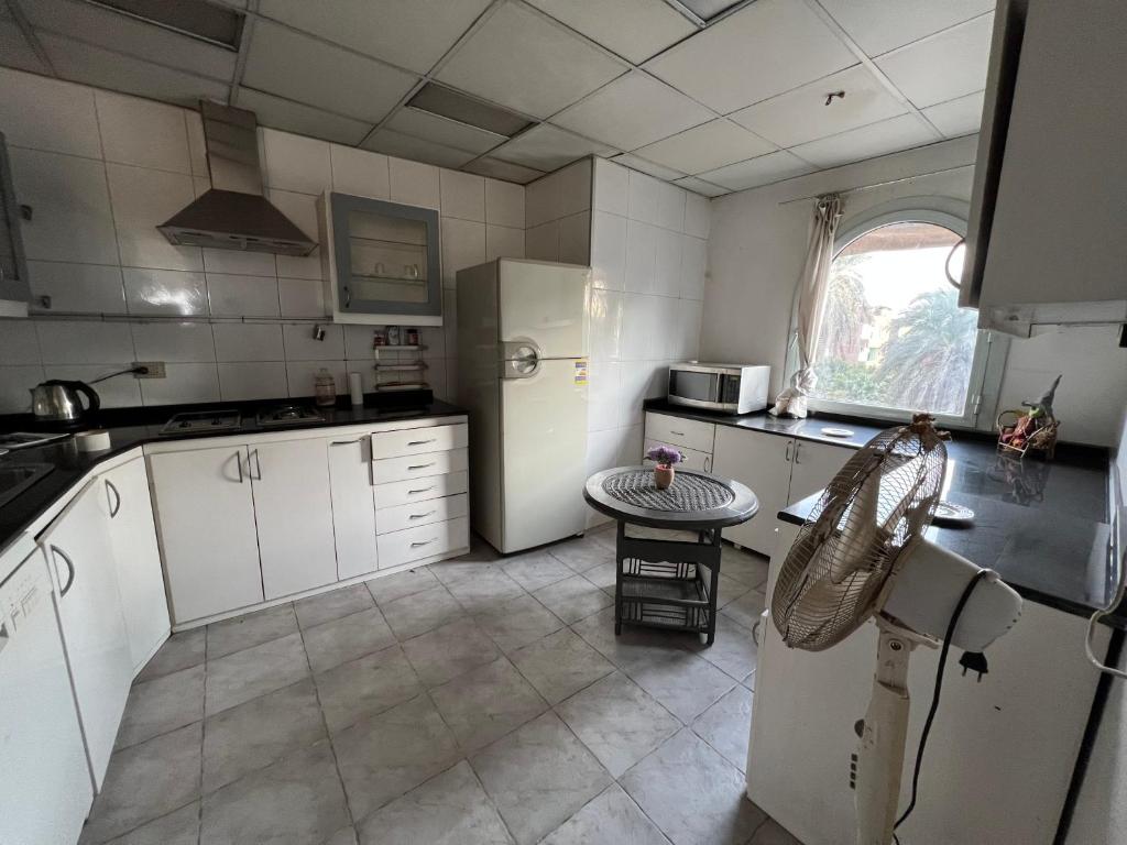 A kitchen or kitchenette at East Luxor Apartments with Nile views