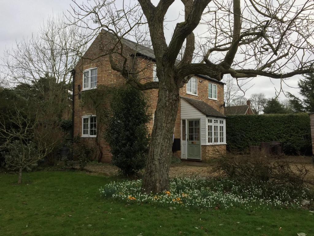 een stenen huis met een boom in de tuin bij Beech View Cottage in Downham Market