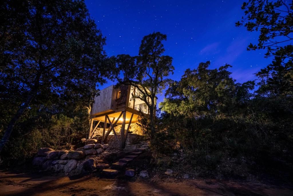 a tree house in the woods at night at Domaine de Casanghjulina in Porto-Vecchio
