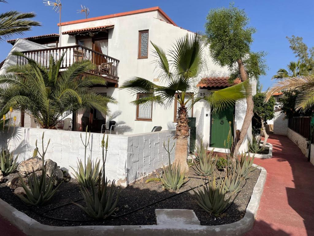 une maison blanche avec des palmiers devant dans l'établissement Parque Holandés Fuerteventura casa Mayte, à La Oliva