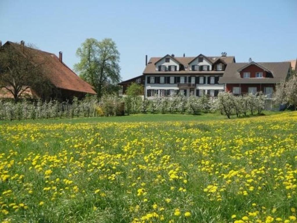 Erlen – Photos 1