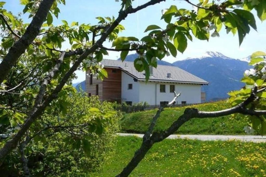 a house on a hill with a mountain in the background at Hof Quadra 