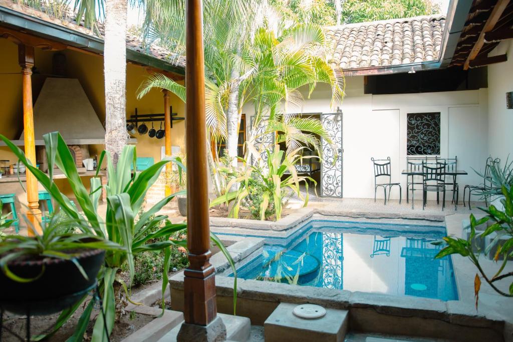 basen w domu z palmami i roślinami w obiekcie Miskitu casa boutique w mieście Granada