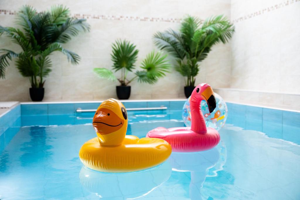 2 cygnes gonflables dans une piscine dans l'établissement Agluonenai Park Apartments, à Agluonėnai