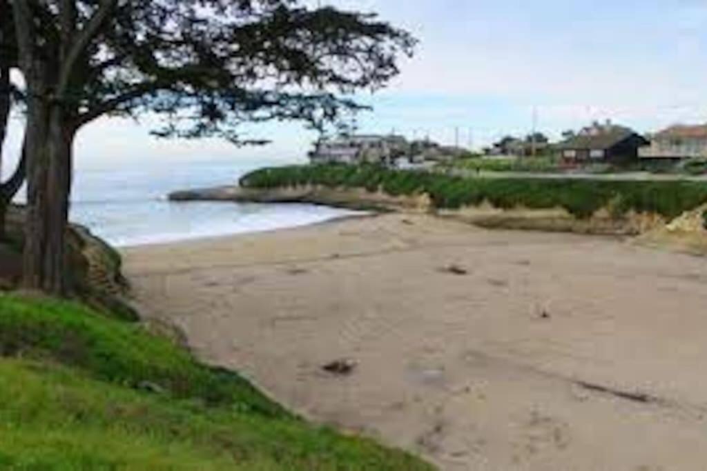 a sandy beach next to the ocean with a tree at Relaxing 3 bedroom Santa Cruz house, 5min to beach in Santa Cruz