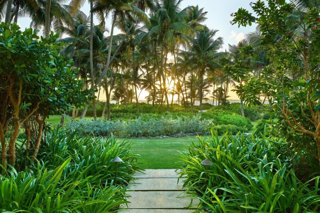 St. Regis Bahia Beach Resort, Puerto Rico - Deluxe King, Garden View